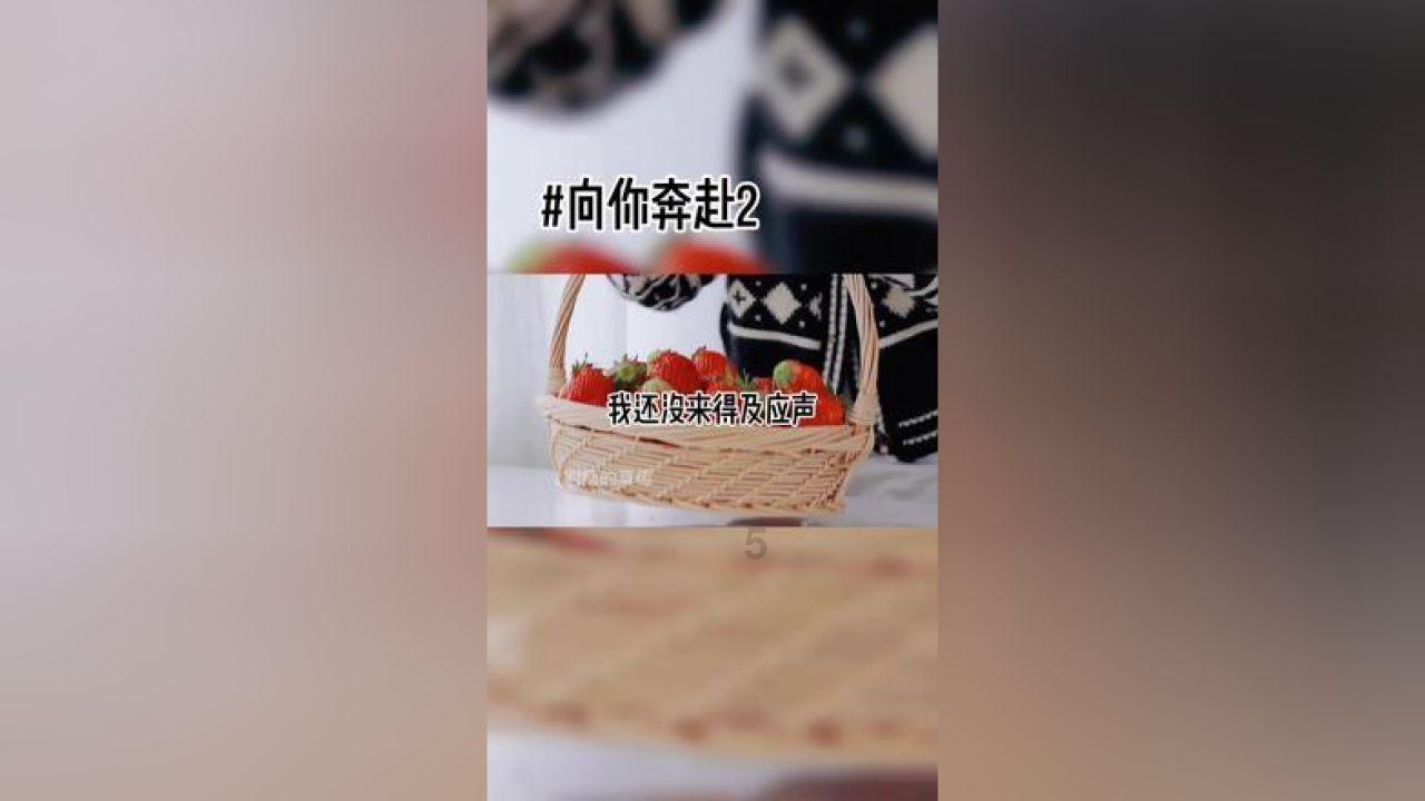 装甲坦克大战