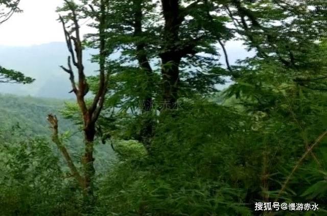 美图秀秀下载2023最新版